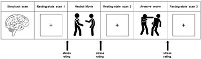 Neural correlates of repetitive negative thinking: Dimensional evidence across the psychopathological continuum